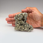 Geniune Large Pyrite Cluster