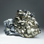 Sphalerite with Pyrite from Casapalca District, Huarochiri Province, Peru