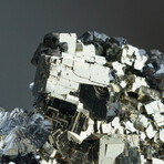 Sphalerite with Pyrite from Casapalca District, Huarochiri Province, Peru