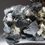 Sphalerite with Pyrite from Casapalca District, Huarochiri Province, Peru