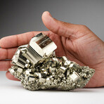 Genuine Pyrite Cluster from Huanuco Province, Peru