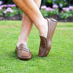 Alfred Penny Driving Loafer // Medium Brown (8)