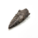 Excellent Pre-Inca Arrowhead // 1500 BC - 400 AD