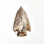 Large Native American Spear-Point // 4000-1500 B.P.