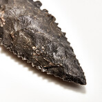 Excellent Pre-Inca Arrowhead // 1500 BC - 400 AD
