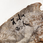 Large Native American Spear-Point // 4000-1500 B.P.