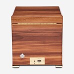 Rapport // Perpetua III Walnut Wood Single Watch Winder // Brown // W581