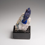 Genuine Hand Carved Lapis Lazuli Owl on a Quartz Matrix // 3.5"H