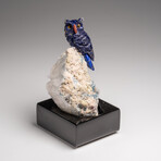 Genuine Hand Carved Lapis Lazuli Owl on a Quartz Matrix // 3.5"H