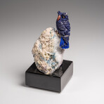 Genuine Hand Carved Lapis Lazuli Owl on a Quartz Matrix // 3.5"H