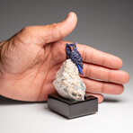 Genuine Hand Carved Lapis Lazuli Owl on a Quartz Matrix // 3.5"H