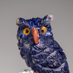 Genuine Hand Carved Lapis Lazuli Owl on a Quartz Matrix // 3.5"H