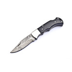 The Apex // Black Horn