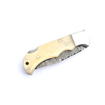 The Fang // Camel Bone
