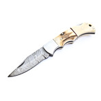 The Spark // Stag Horn & Camel Bone