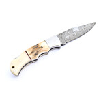The Spark // Stag Horn & Camel Bone
