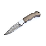 The Flux // Chinar Wood