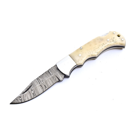 The Fang // Camel Bone