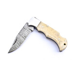 The Fang // Camel Bone