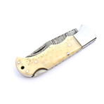 The Fang // Camel Bone