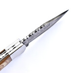 The Kestrel // Dense Wood