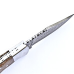 The Flux // Chinar Wood