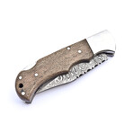 The Flux // Chinar Wood