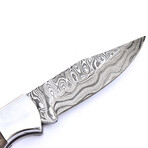 The Flux // Chinar Wood