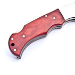 The Swift // Dense Wood