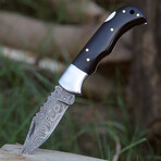 The Apex // Black Horn