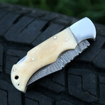 The Fang // Camel Bone