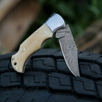 The Fang // Camel Bone
