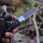 The Apex // Black Horn