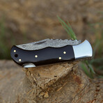 The Apex // Black Horn