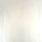 David Shrigley // I Am Elegant // 2021