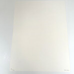 David Shrigley // To Hell With Zoos // 2021