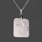 Genuine Muonionalusta Meteorite Pendant with 18" Sterling Silver Chain // 12 g