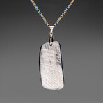Genuine Muonionalusta Meteorite Pendant with 18" Sterling Silver Chain // 35 g