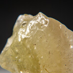 Genuine Medium Libyan Desert Glass in Velvet Bag