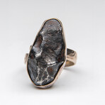Genuine Campo Del Cielo Meteorite Ring with Adjustable Sterling Silver Band  // 14.3 g