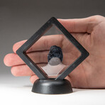 Genuine Natural Tektite in Display Box  //  12 grams