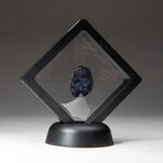 Genuine Natural Tektite in Display Box  //  12 grams