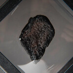 Genuine Natural Tektite in Display Box  //  24 grams