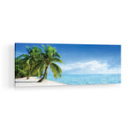 Tropical Beach Panorama With Palm Trees Print on Acrylic Glass by Jan Becke (36"H x 12"W x 0.25"D)