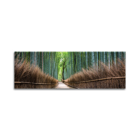 Arashiyama Bamboo Forest Print on Acrylic Glass  by  Jan Becke (36"H x 12"W x 0.25"D)