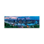 Skyline Panorama Of Pittsburgh Viewed From Mount Washington Print on Acrylic Glass by George Oze (36"H x 12"W x 0.25"D)