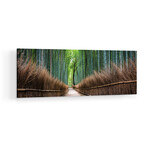 Arashiyama Bamboo Forest Print on Acrylic Glass  by  Jan Becke (36"H x 12"W x 0.25"D)