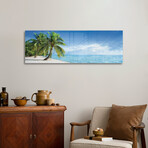 Tropical Beach Panorama With Palm Trees Print on Acrylic Glass by Jan Becke (36"H x 12"W x 0.25"D)