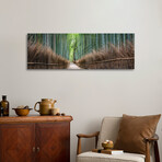Arashiyama Bamboo Forest Print on Acrylic Glass  by  Jan Becke (36"H x 12"W x 0.25"D)
