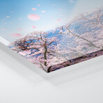 Chureito Pagoda And Mount Fuji During Cherry Blossom Season Print on Acrylic Glass  by  Jan Becke (36"H x 12"W x 0.25"D)